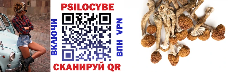 Псилоцибиновые грибы Psilocybe  мега ссылка  Среднеуральск 